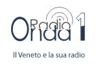 Radio Onda 1 (Veneto)