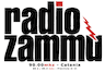 Radio Zammú (Catania)