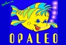 Opaleo