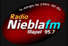 Radio Niebla FM (Illapel)