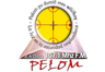 Radio Pelom (Padre Las Casas)