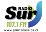 Radio Sur Mariquina