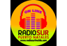 Radio Sur