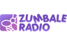 Zumbale Radio - Tu Primera Popular!