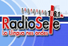 Radio Sele (Oviedo)