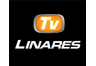 Televisión (Linares)