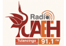 Radio UAEH (Tulancingo)