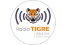 Radio Tigre (Berriozábal)
