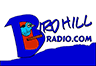 Birdhillradio.com - bringing the joy of music around the world