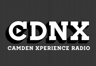 CDNX 1