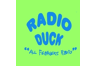 Radio Duck