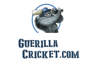 Guerilla Cricket