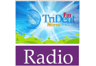 TriDent FM Stereo