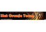 Het Oranje Team
