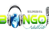 Bongo Radio (Zilipendwa Channel)