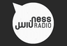 Ogris Debris - Miezekatze (Radio Edit)
