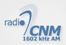 Radio CNM (Arad)