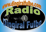 Radio Dingiral Fulbe officiel - merci de telecharger la nouvelle application