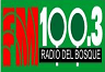 Radio Bosque