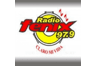 Radio Fénix FM (Formosa)
