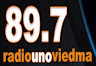 Radio Uno FM (Viedma)