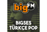 bigFM bigSES