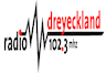 Radio Dreyeckland (Freiburg)