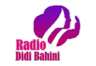 Radio Didibahini 95.2 MHz