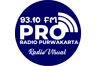 Radio PRO 93.1