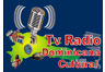 Radio Dominicana Cultural