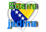 Bosna Jedina