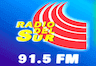 Radio del Sur (Lurín)