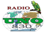 Radio Uno (San Pedro Sula)