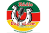 Web Rádio Bagual