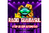 Radio Guaibasul Top do som Automotivo