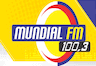 Rádio Mundial FM (Toledo)