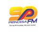 PRINCESA 90 FM - 84 3331-1223