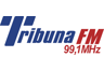 Tribuna FM (Vitoria)