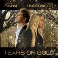 David Bisbal - Tears Of Gold