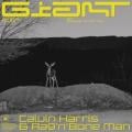 Calvin Harris - Giant (with Rag'n'Bone Man) - Purple Disco Machine Remix
