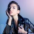 dua lipa ft miguel - Lost in Your Light