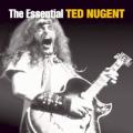 Ted Nugent - Live It Up