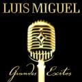 Luis Miguel - La incondicional