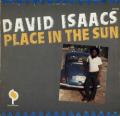 David Isaacs - Stealing Stealing