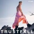 Trustfall - TRUSTFALL