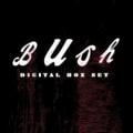 Bush - Everything Zen