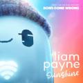 Liam Payne - Sunshine - From the Motion Picture “Ron’s Gone Wrong”