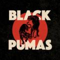 Black Pumas - Touch the Sky