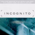 Incognito - I Can See the Future (Ski's main mix)