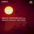 Jean Sibelius - Symphony No. 5 in E-Flat Major, Op. 82: II. Andante mosso, quasi allegretto